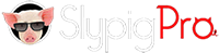 SlypigPro Website Development, Domains & Hosting